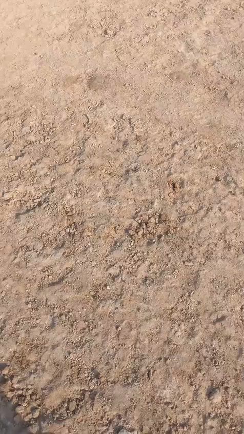 السلام عليكم قطعة للبيع زراعي الصويره مساحة ٢٠٠ متر بسعر مناسب ٤ ملايين
العنوان منطقة طليحه قرب معمل الغاز المالكي 
خلف مدرسة بدر الكبرى 
الاستفسار ***********
