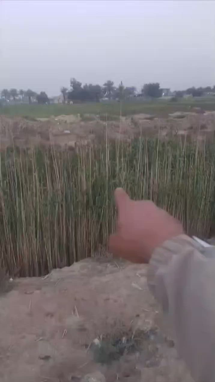 للاستفسار الاتصال على الرقم
***********
