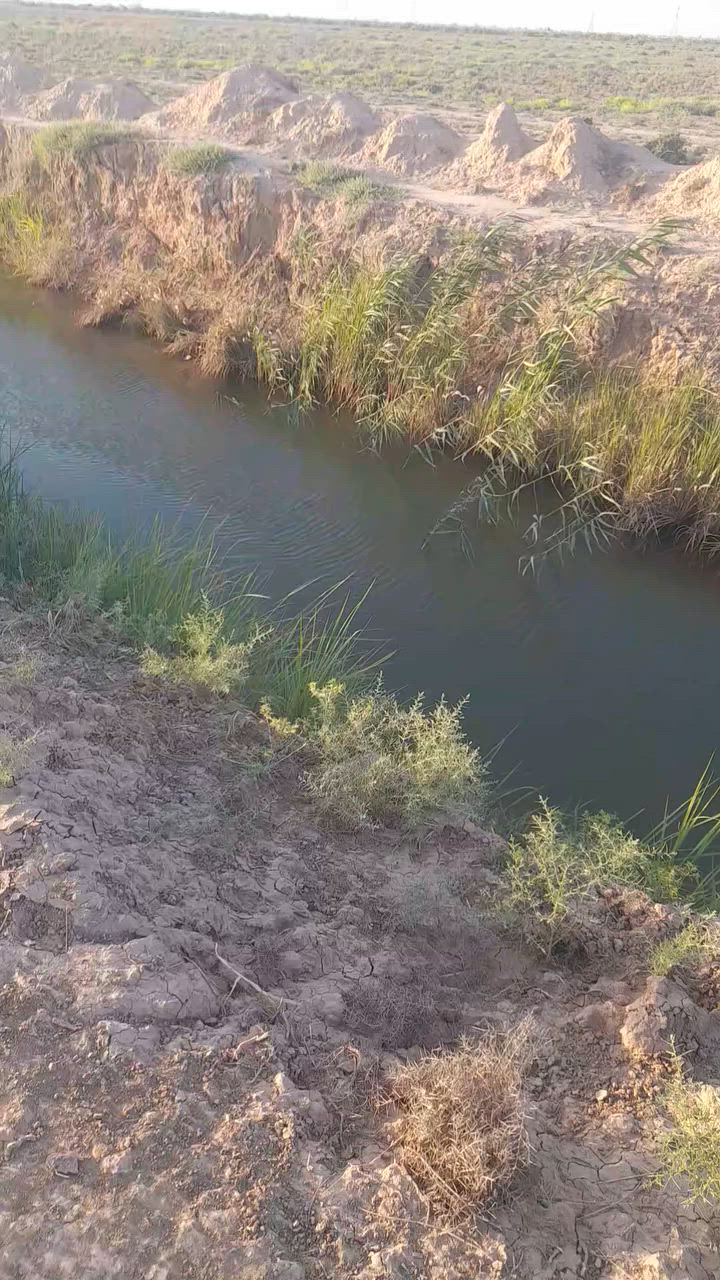 السلام عليكم ارض زراعيه للبيع مساحة ١٢ دونم عقد زراعي ١١٧ وجه عل شارع مباشر ارض تصلح سكن ومشاريع وزراعة مكان الأرض بغداد النهروان ٩نيسان قرية ابا ذر الغفاري وكلشي واضح بل فيديو *********** ***********
