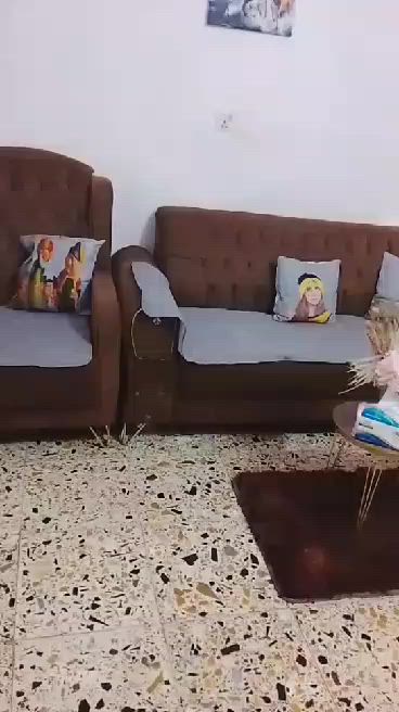 نص تخم تسكام عراقي ثكيل جداا نضيف في ضرربلكرسي ممبين ابدا 