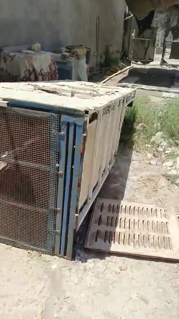 السلام عليكم محجر نضيف للبيع
***********وساب فقط
