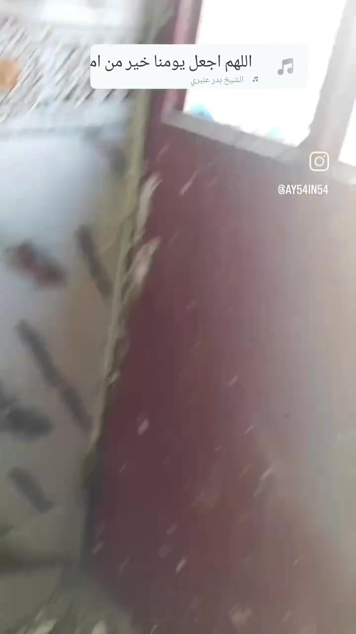من رخصت الادمن  
تنضيف وصبغ  شبابيك متفرق هاذا شغلي الي يريد يتصل
 
 ***********/
***********
