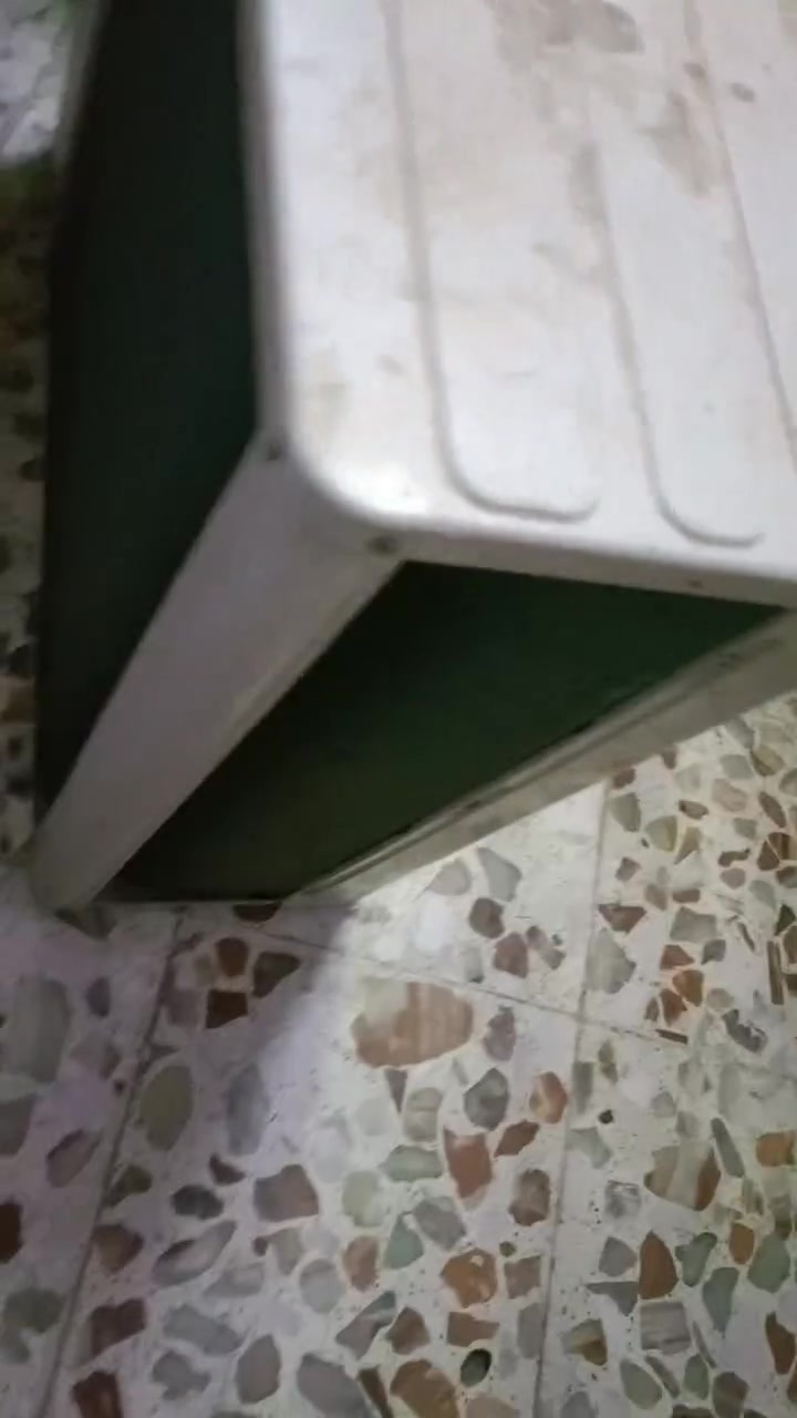 سبلت ميديا طنين كامله غراضه نضيف نضيف مثل ما واضح بل صوره بغداد مدينه الصدر سعر 250
***********
