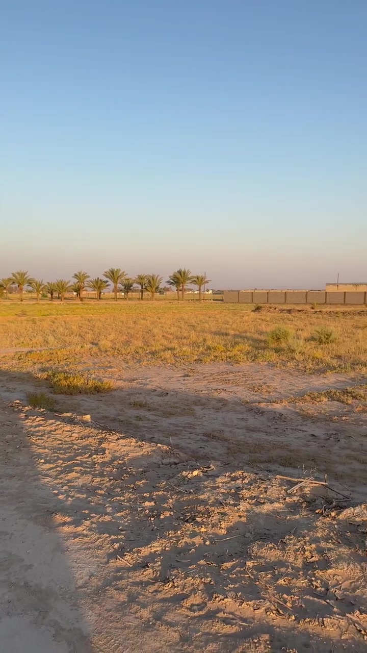 السلام عليكم 

يوجد 1600 متر تحويل مباشر باسم المشتري موقع مميز ركن يصلح لإنشاء مزرعه خاصه او للاستثمار وجه 40 ونزال 40 بغداد ابو غريب منطقه السميلات قرب مزرعه التألق ومزرعه mm ومجاور منتجع ورد للاستفسار مراسله الصفحه او الاتصال على الواتساب فقط *********** 
‏
حسين الربيعي للأستثمار العقاري
