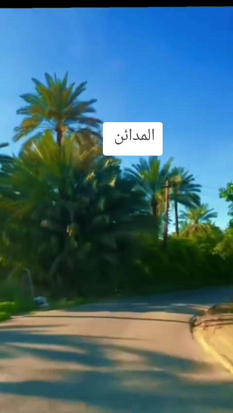 دوانم طابو صرف الواجهه 71 متر النزال 31 كامل الخدمات ماء كهرباء العنوان سلمان باك الجعاره السعر 250 مليون تحويل مباشر باسم المشتري ***********
