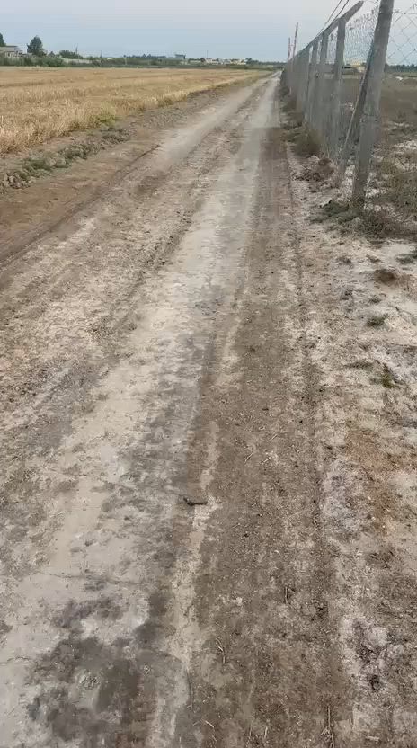توجد 24 دونم للبيع طابو ملك صرف كل ٥ بسند مستقل على طابو ابي غريب ارض حلوه ومخدومه بالكامل على شارع رئيسي مباشر فتح بيان ثاني يوم سعر الدونم من ٨٥ لحد ١٢٠ حسب موقعها  مقسمه دوانم مربعه عنوان بغداد الشعله قرب جسر ماجد البصام المسافه عن ساحه القاء المنصور ٢٠ 
توجد 5 دوانم للبيع طابو على طابو الكاظمية الثانيه سند مستقل فتح بيان بأسم المشتري ثاني يوم ارض كلش حلوه ومخدومه بالكامل ماء اساله ماء سقي كهرباء منطقه مسكونه مخدومه من كلشي بيها سكن ومزارع منطقه امن وامان تبعد عن ساحة القاء المنصور20 دقيقه عنوان بغداد التاجي سبع البور من جهت ابوعظام سعر الدونم ٦٥
موجوده ٥٠ دونم طابو ملك صرف للبيع في بغداد التاجي قرب سبع البور سعر الدونم ٥٠ على طابو ابي غريب ارض جدا حلوه ومخدومه بالكامل بيها ماء وكهرباء صايره ركن على شارعين


**إذا كنت صاحب هذا الإعلان وتريد حذفه لأي سبب، رجاءا أرسل رسالة إلى الدعم الفني**