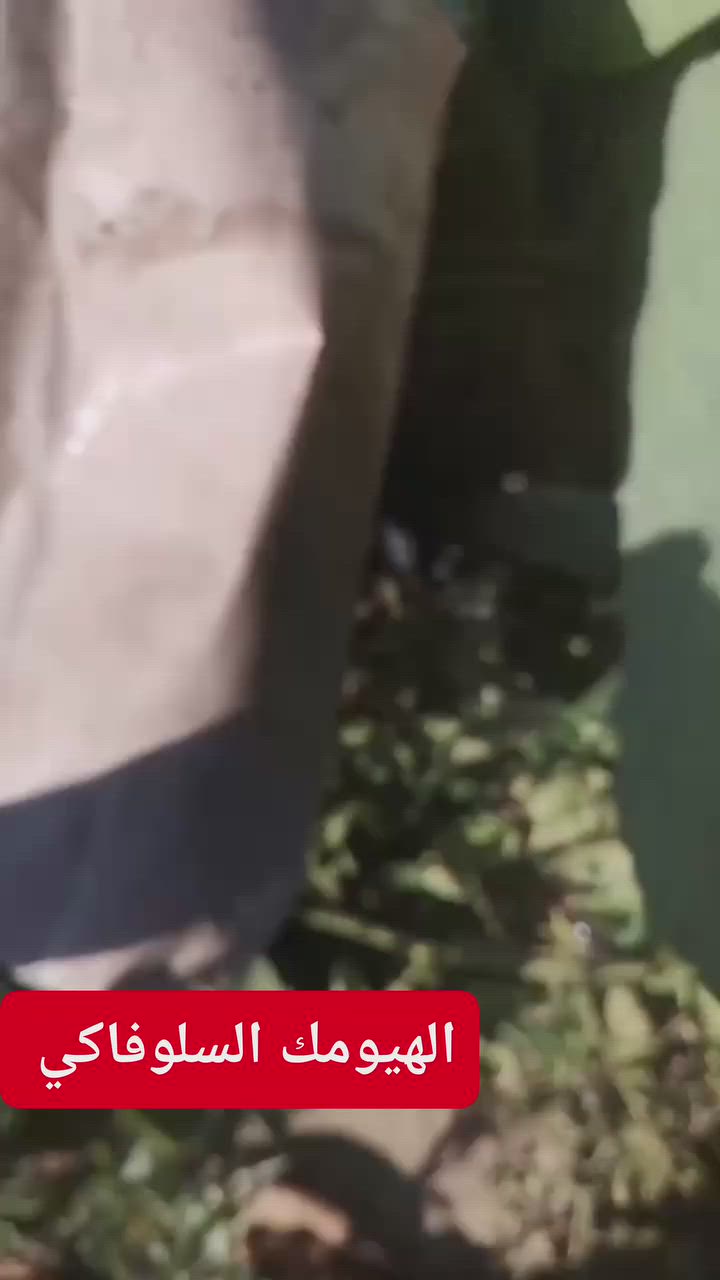 نتائج رائعة للهيومك السلوفاكي 🇸🇮  في مزرعة  نوادر الطماطة  مع المبدع حيد حسين  
#زراعة 
مكتب النور الزراعي  / شركة الماس الأصفر 
بغداد اليوسفية علوة بغداد المركزية


**إذا كنت صاحب هذا الإعلان وتريد حذفه لأي سبب، رجاءا أرسل رسالة إلى الدعم الفني**