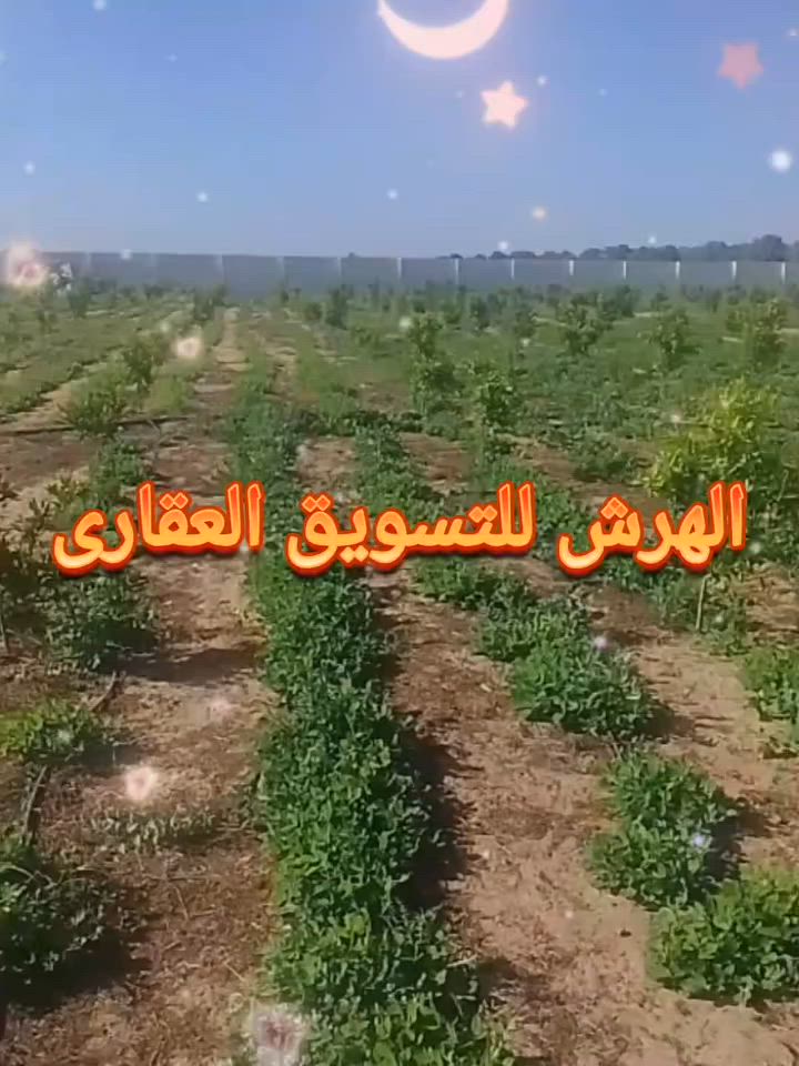 #كأسالعالم
#للتواصل01065573727☎️☎️
خمس فدادين🏝️ تانى نمره من ترعه الكساره 🏝️بالاسماعيليه ملك عقد اخضر كارت 🏝️فلاح وحيازه زراعيه 🏝️رى نيلى من ترعه الكساره كهرباء ومياه شرب وطاقه شمسيه 🏝️🏝️🏝️🏝️
#اراضى #عقارات #الاسماعيليه @إشارة


**إذا كنت صاحب هذا الإعلان وتريد حذفه لأي سبب، رجاءا أرسل رسالة إلى الدعم الفني**