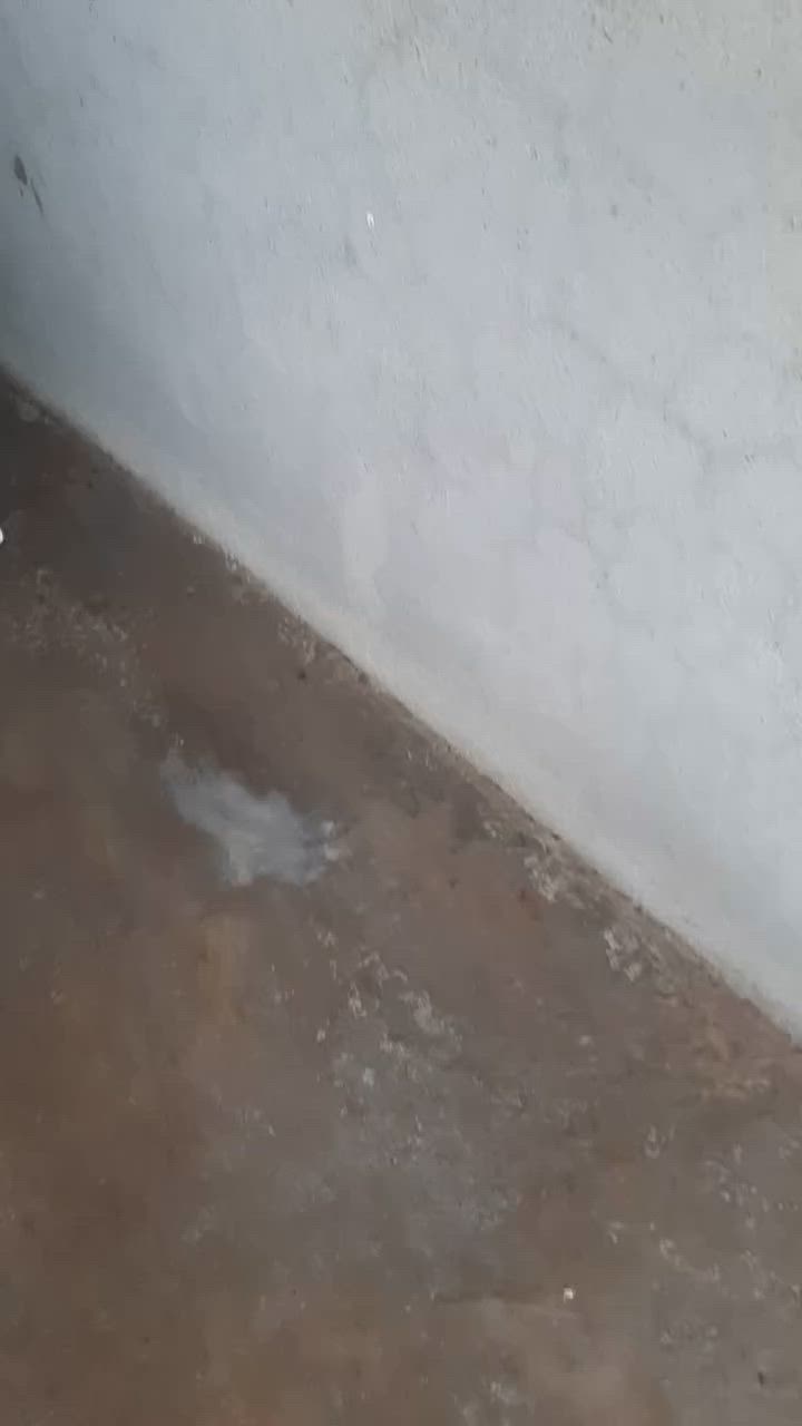 ثلاجه للبيع كونكورد حجم ١٨ قدم شرط شغل ونضيفه مايصلح على وضع شركه سعر ١٢٥ الف تواصل على ***********
