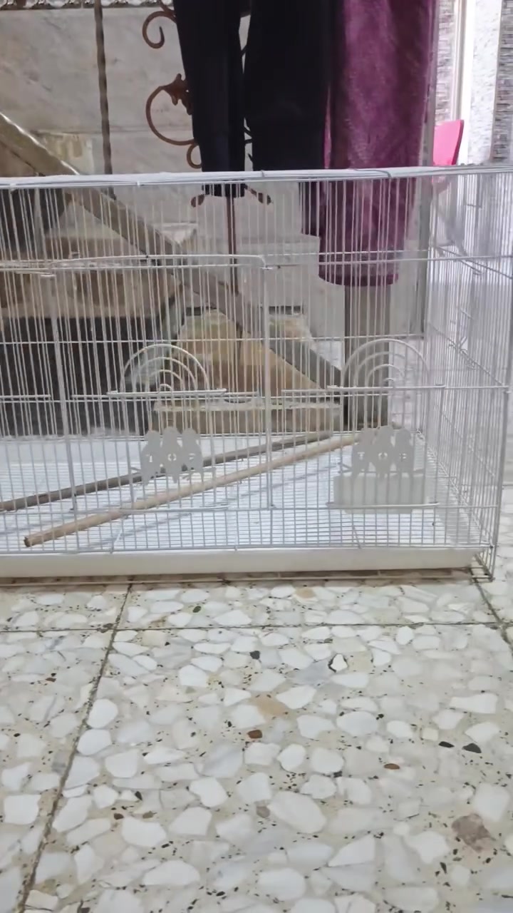 سلام عليكم
قفص أبو طير الكبير مو زغير  ! 
كامل استخدام سبوع للبيع مكاني بغداد الشعله 
***********

