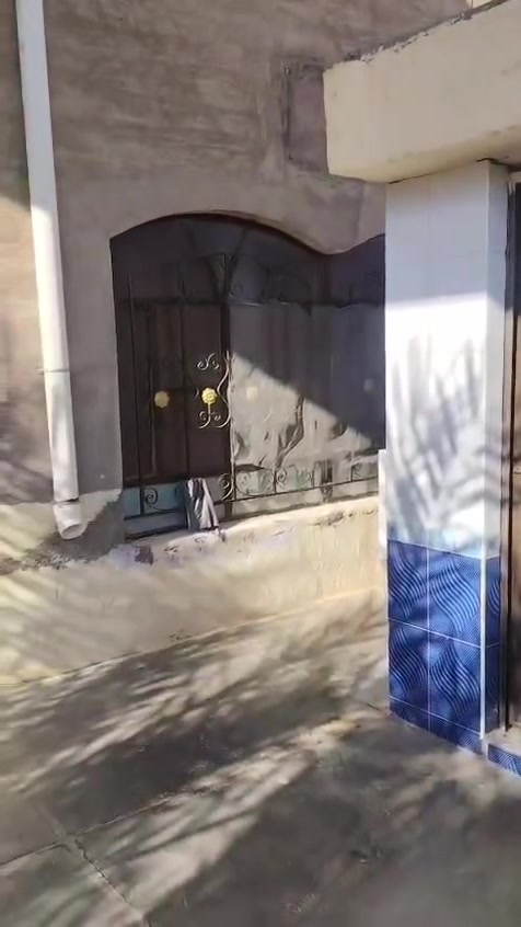 السلام عليكم مكلف بل نشر
بيت للبيع مساحته البيت 260

موقع البيت قرب شارع الزيتون خلف حماده مول 

البيت غرفتين جوه وغرفه فوك  صاله ديوانيه مطبخ صحيات خارجيه وداخليه منور عدد ثنين 

حديقه زغيره وكراج سياره 

رقم صاحب البيت ***********

من رخصت أدمن الكروب
