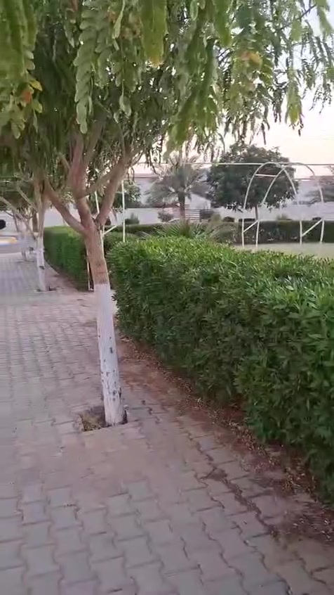 مجمع اللؤللؤة السكنيي بيت 200متر غرفتين نوم 💤 صالة وستقبال ومطبخ وصحيات ***********
