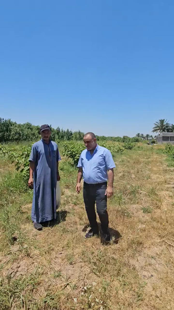نتائج رائعة للهيومك السلوفاكي 🇸🇮  
في مزرعة حيدر آل عبيد  في اليوسفية بغداد  . 
مكتب النور الزراعي  شركة الماس الاصفر  
بغداد اليوسفية علوة بغداد المركزية 
#زراعة


**إذا كنت صاحب هذا الإعلان وتريد حذفه لأي سبب، رجاءا أرسل رسالة إلى الدعم الفني**