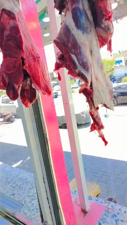 قصابيه سيدحسن جريو النجف مكتب الرشيد انسب الاسعار جوده عاليه غنم باديه النجف كيلو16الف عجل ١٤عظم بدل ١٦
 ١٦شرح بدل١٨
لحم عجل عراقي وغنم عراقي مالت الديره *********** وتساب
