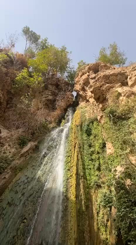 عروضنا هالمره غيير اخر المقاعد النفر بس ب20,000من البيجي..... ومن الشرگاط السعر يختلف
خابر صديقك وامشو يشمل جميع الاعمار
ويوجد أيضاً باص خاص بالعوائل

🚌✨ شركة الشرقاط الملكية ✨🚌
👑 بإدارة عمر الظاهر 👑

📅 الانطلاق يوم الثلاثاء

🌟 رحلة يوم واحد إلى زاخو ودهوك 🌟

💰 سعر النفر: 20,000 دينار فقط
يشمل النقل والفرات داخل دهوك

📍 برنامج الرحلة:

🔹 زاخو
🔹 مصيف شرانش
🔹 مصيف دشتتاخ التركي
🔹 مصيف الكهف
🔹 جولة داخل دهوك
🔹 استراحة غداء في مطعم
🔹 فاملي مول
🔹 حديقة الحيوانات
🔹 سد دهوك أو جبل زاوه (اختياري)

✅ أجواء عائلية مميزة
✅ باصات مريحة ومكيفة
✅ رحلات شباب وعوائل

📞 للحجز والاستفسار:
***********
الخاص مفتوح 

🔥 لو تلحك لو ما تلحك 🔥

📢 كما يتوفر برنامج يومين كل يوم جمعة

🌹 شركة الشرقاط الملكية تتمنى لكم رحلة سعيدة 🌹
تحياتنا لكم جميعاً ❤
