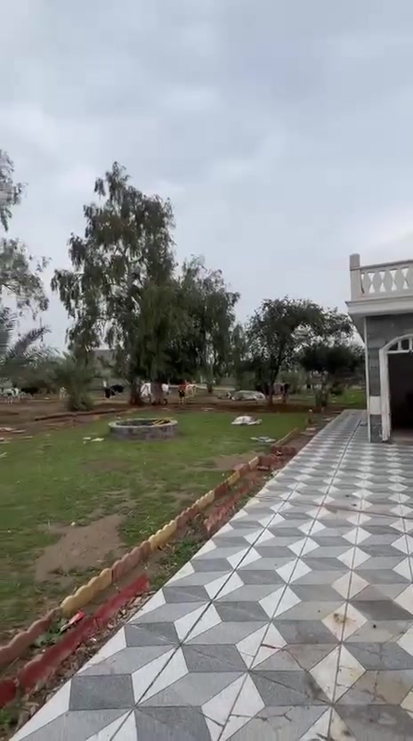 يا الله للبيع مزرعه 4دونم سند مستقل مزرعه جازه تحتوي ع 30نقله نوع برحي درجه أوله بغداد اليوسفية منطقة الرضوانيه مقابيل المطار للاستفسار اكثر مراجعة مكتب الرضوانيه والتصال ع ***********
