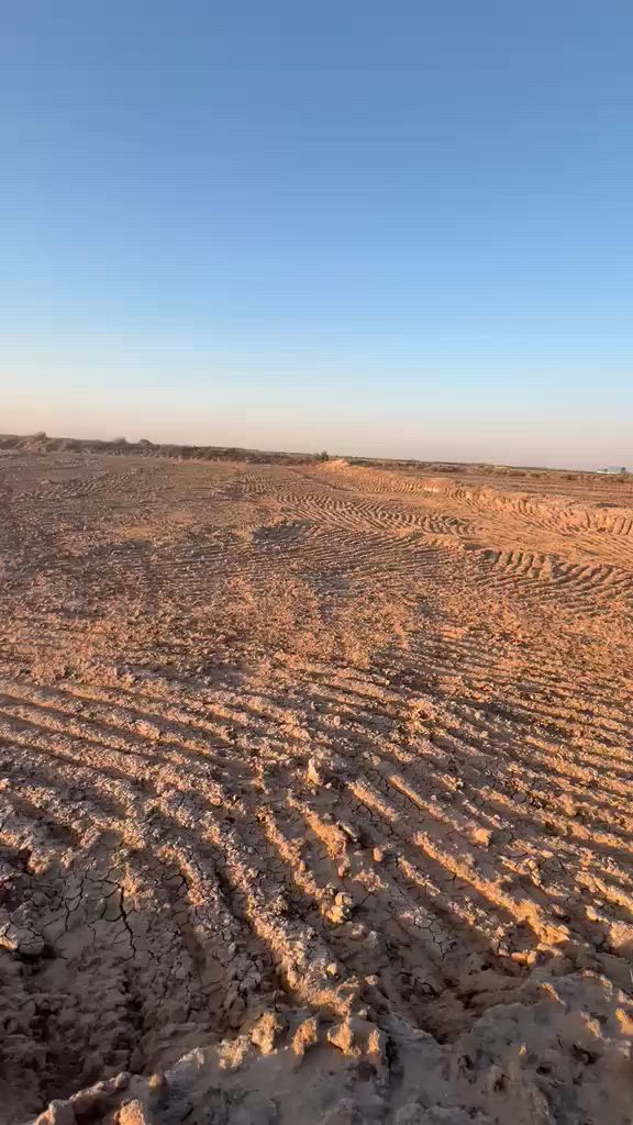 اسلام عليكم.   قطعت ارض طابو زراعي  المساحه (١٦)  دونم   

السعر ( ١٣ / الدونم الواحد )

العنوان الها شارعين.  شارع نزلت مدرست الشهامه 

والنزله الثانيه  من صيطرت  السدير  قرب سكت القطار 

الستفسار. (***********)
