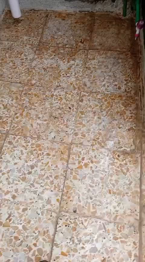 السلام عليكم مشتمل للبيع30متر واقع حال زراعي سوك رضا قرار ١١٧ كامل من كلشي بيت جاهز السعر 17مليون بي مجال بسيط العنوان بغداد شهداء البياع قرب مولدة محمود العامري الشراي يتصل على الرقم/***********
