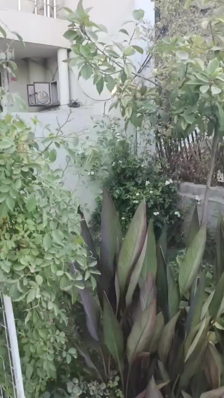 بسم الله للايجار بيت طابقين منطقة بكرة جو الجديدة💗💗💗 الارضي غرفه وصالة ومطبخ وصحيات وخطار واستقبال وهول داخلي وطابق الثاني غرفتين وصالة ومطبخ وصحيات وخطار واستقبال وهول داخلي💗💗للاستفسار الاتصال ***********
