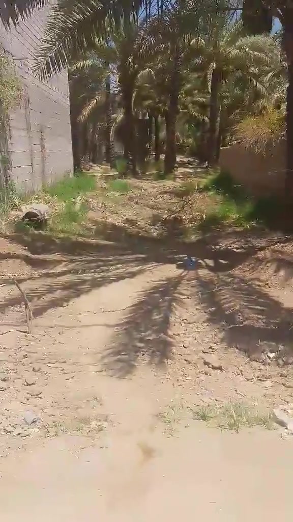 قطعه ارض للبيع السماحه 150 يم كنطرت خليل باشا خدمات كامله كهرباء ومي ومجاري سعرها 45وبيها مجال ***********
