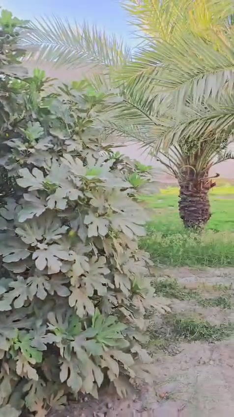 🏠 بيت للبيع – فرصة حلوة

بيت طابقين للبيع، جاهز للسكن، بموقع حلو وخدماته كاملة.

📍 الموقع: بغداد – النهروان، قرية 8، النزلة الأولى، يبعد أقل من 150 متر عن الشارع العام.

الطابق الأول:

- 3 غرف نوم
- صالة استقبال
- هول
- مطبخ
- حمامات

الطابق الثاني:

- 3 غرف نوم
- هول
- حمامات

البيت مرتب وجاهز للسكن، والمنطقة بيها كل الخدمات من أسواق ومدارس وماء وكهرباء.

للاستفسار والمعاينة راسلني أو اتصل.
*********** سيف 
*********** علي
