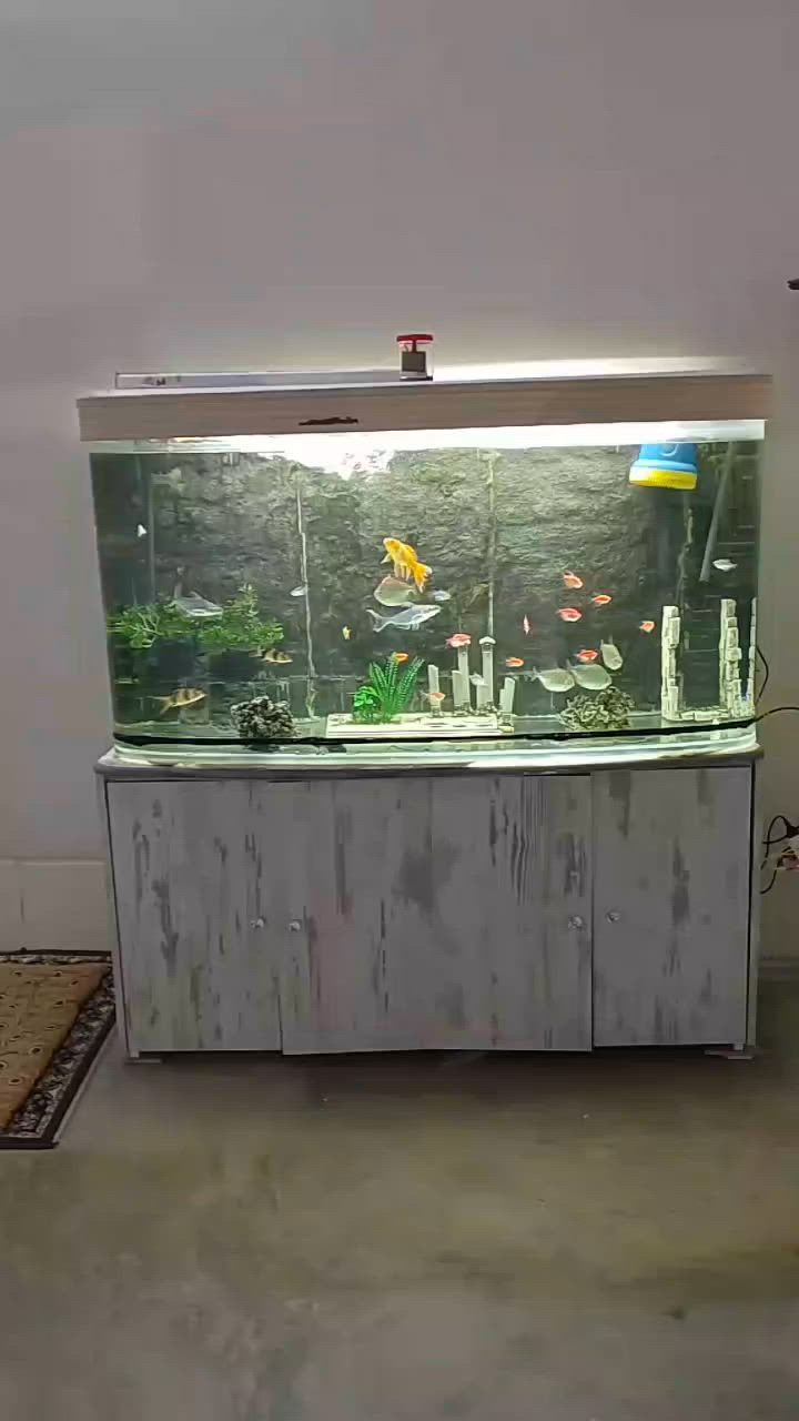 ​🐠 حوض سمك زينة مميز للبيع 🐠
حوض سمك زينة متكامل بحجم كبير ومظهر رائع، جاهز وشغال بالكامل بدون أي نواقص.
​📐 القياسات:
​الطول: 1.5 متر (متر ونص)
​العرض: 1 متر
​✨ المميزات والديكور:
​ديكور داخلي كامل: خلفية صخرية (3D)، مجسمات أثرية، ونباتات زينة.
​منظومة متكاملة: إضاءة LED ممتدة، فلتر، ومضخة أوكسجين.
​مجموعة أسماك متنوعة: تشكيلة رائعة ونشطة من أسماك الزينة المميزة.
​⚠️ للاستفسار عن السعر اتصال *********** او مراسله اصفحه @
