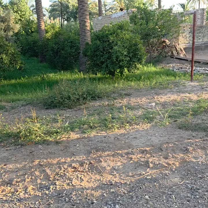 السلام عليكم ورحمة الله وبركاته🫱🏽‍🫲🏻قطعة أرض للبيع🏞
 المساحة 800متر الواجهة 20نزال 43يتوفر فيها ماء ⛲وكهرباء 💡وكافة الخدمات ‼️
موقع مميز جداً 🌷
العنوان: بغداد/التاجي/شيخ حمد/قرب مزرعه العصفور 🏝
للاستفسار الاتصال على الارقام الاتيه 
كورك: ***********📞
اسيا: ***********📞
#مَكتب_ديرتنا_للعقار🏢
#بإدارة_أحمد_أبومصطفى 🌷

