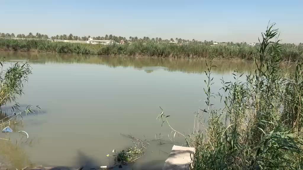 سلام عليكم
شاطية للبيع — نصف دونم ١٢٦٠ متر 🚨🚨على نهر دجلة 

1️⃣: ترهم مزرعة او دار استراحة هدوء تام 📌بسعر مناسب 

📄💎: 📍الزعفرانية التويثة

استفسار : ***********
