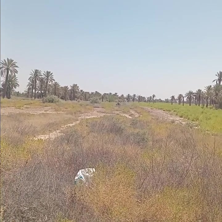 ***********

سعر الدونم ١٣٠ وبي مجال
