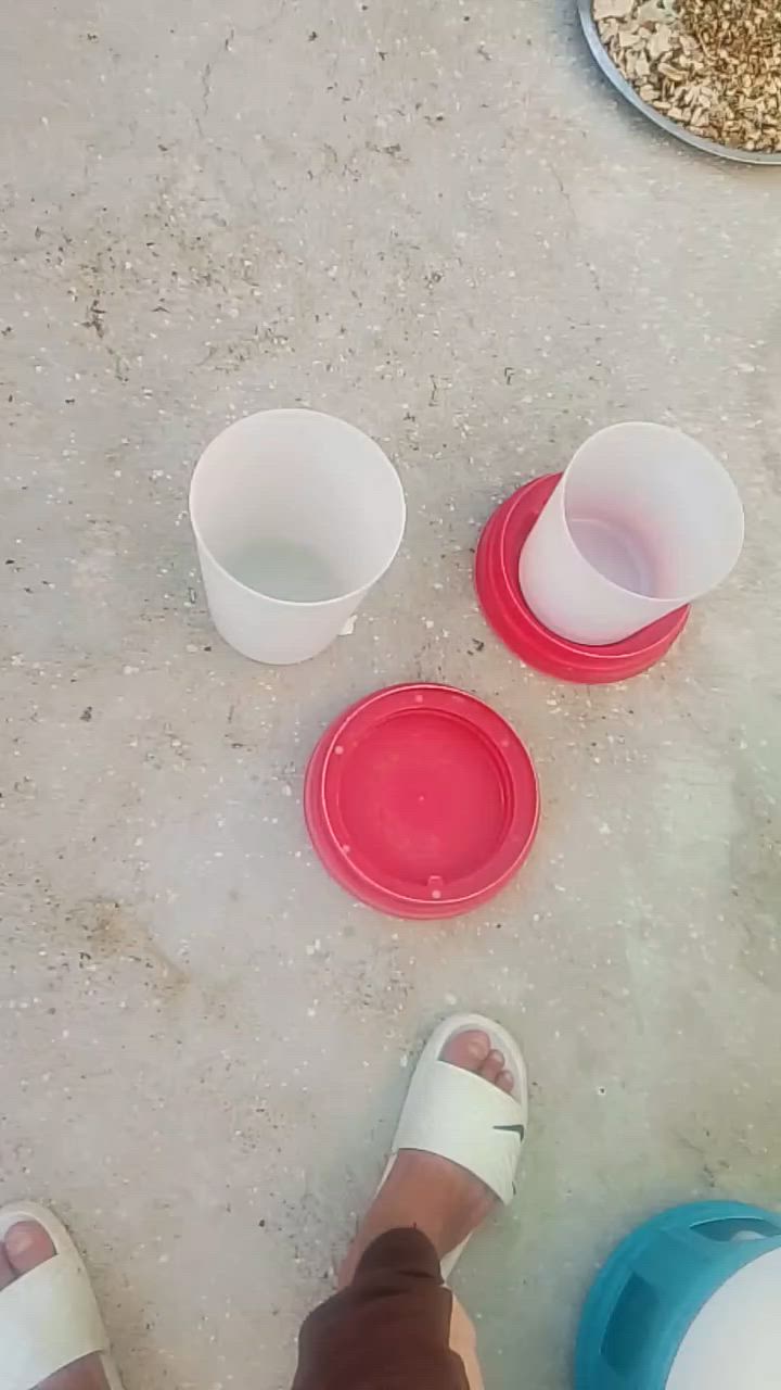 للبيع كلمن وسعره مكاني كوت زويريجات ***********+***********
