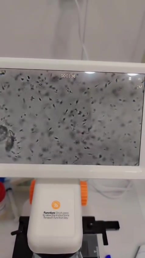 � للبيع مجهر رقمي بشاشة مدمجة 🔬

فرصة مميزة للمختبرات، العيادات، الجامعات والمراكز التعليمية.

✅ شاشة مدمجة لعرض العينات مباشرة.
✅ صورة واضحة وتكبير عالي الدقة.
✅ سهل الاستخدام وجاهز للعمل.
✅ حالة ممتازة ويعمل بكفاءة.

💰 السعر: 400,000 دينار عراقي فقط.

📞 للاستفسار والتواصل:
***********

📍 للجادين فقط، السعر مناسب مقارنة بحالة الجهاز
