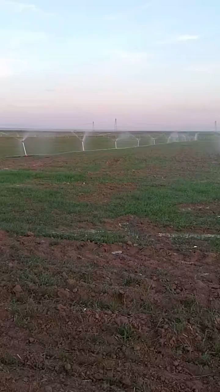 مرشه للبيع 20 دونم هيما مستعمله اثنين موسم نظيفه رقم الهاتف ***********
