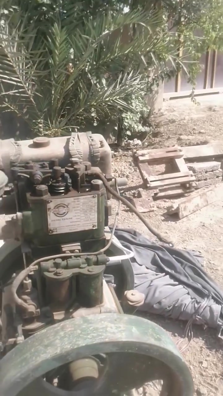 السلام عليكم عند مولده للبيع أم القايشة ***********
