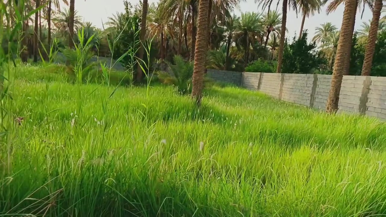 المساحه 600 متر طابو صرف شارع السيده زينب عامود 131 انزلي لها مال اقارب كيلو تبليط جميع الخدمات متوفره سعر الاتصال***********
