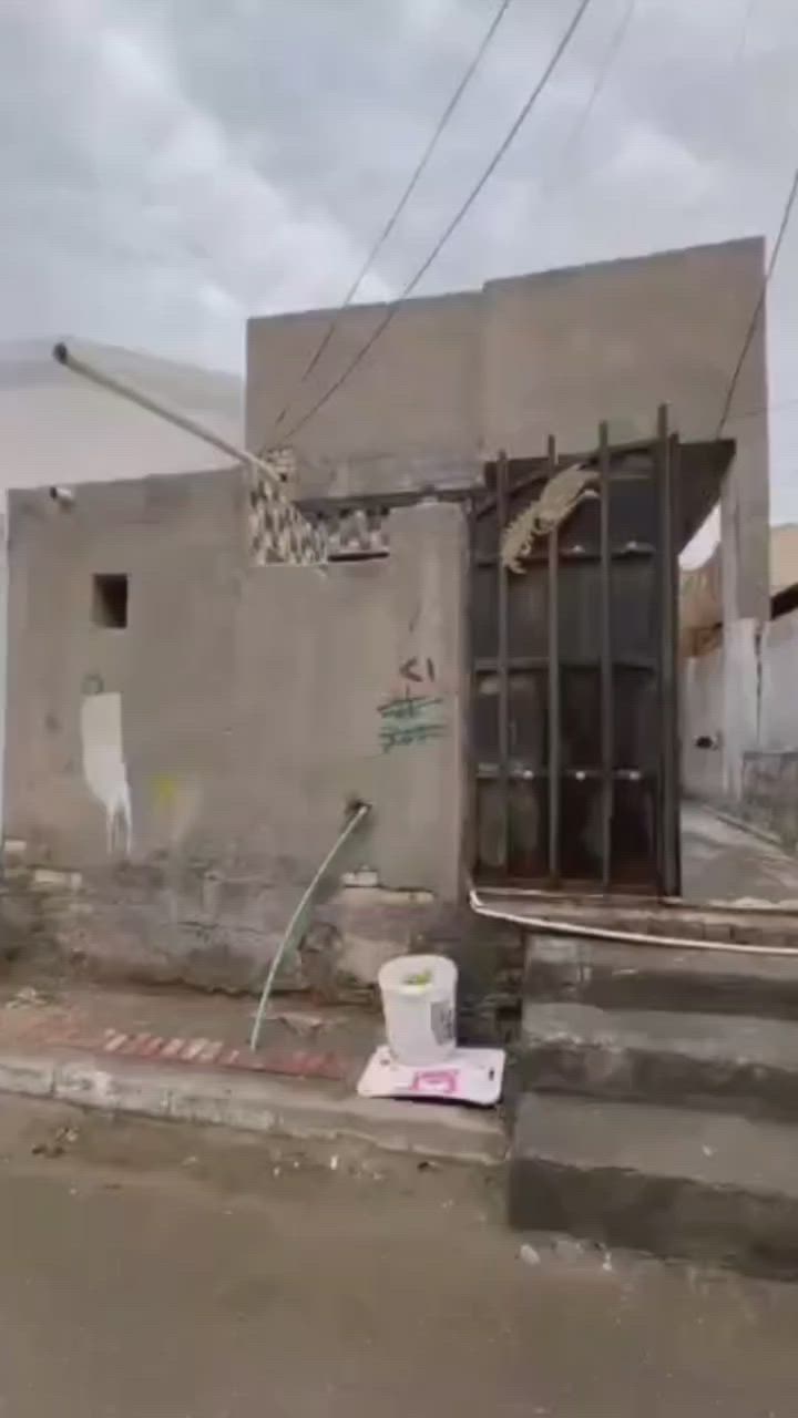 المساحه 115 + طابقين
الواجهه 5 ونص  ونزال 21
الطابق الارضي - استقبال - صاله- غرفه -مطبخ - صحيات خارجيه - وداخليه
الطابق الثاني -صاله -وغرفه - 
العنوان- الفرات شارع شركه حمرابي 
ثاني بيت عن شارع العام مال شركة حمرابي
للستفسار ***********
او زيارة المكتب حي التاميم قرب مجمع السبطين
