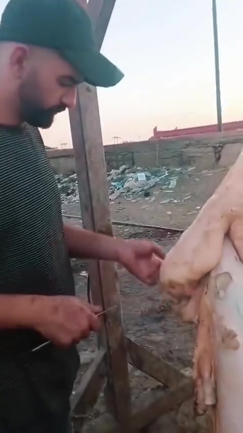 ***********
توصيل مجاني
