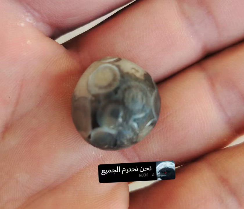 سليماني قديم كلش ملاكط بغداد الزعفرانيه جسر ديالى


**إذا كنت صاحب هذا الإعلان وتريد حذفه لأي سبب، رجاءا أرسل رسالة إلى الدعم الفني**