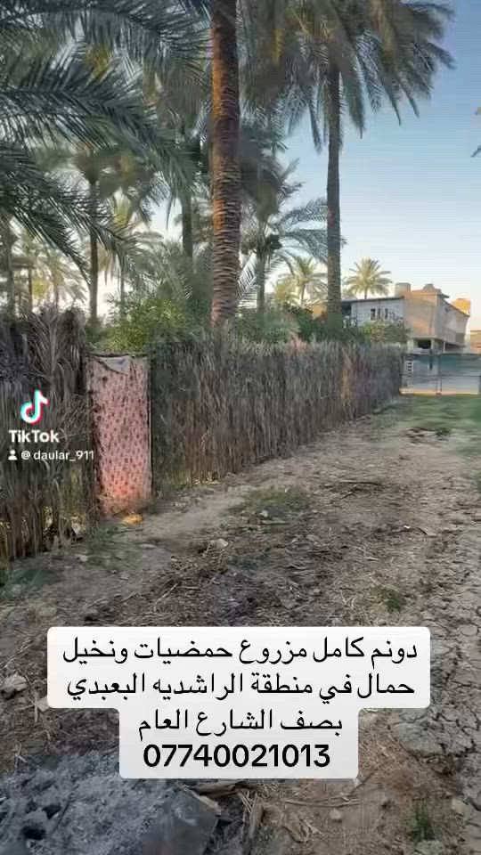 بستان في منطقت الراشديه  محمل بل ثمار والاشجار بستان حمال ريهم مزرعه شاليه كلش حلو بصفه الشارع السده مال دجله وخمس دقايق من سريع بغداد موقع كلش مميز وحلو وسعره همين ***********
