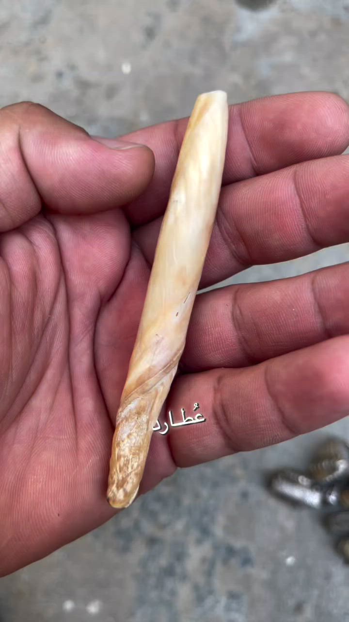 السلام عليكم عرج عطف ملاكطنا السعر خاص
***********
