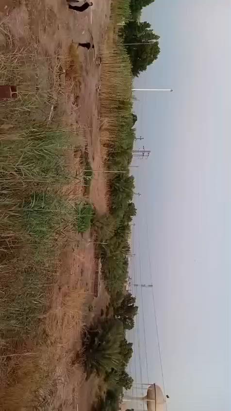🔴ارض زراعية للبيع
🔴 المساحة : 5 دونم
🔴 الموقع: الديوانية_ نزلة الشيخ سامي موقعها ركن مثل ما موضح بلخريطة
🔴 بستان: النخيل نوعية ممتازة
🔴 بالإضافة الئ حقل وثلاث غرف
🔴 للاتصال: ***********
