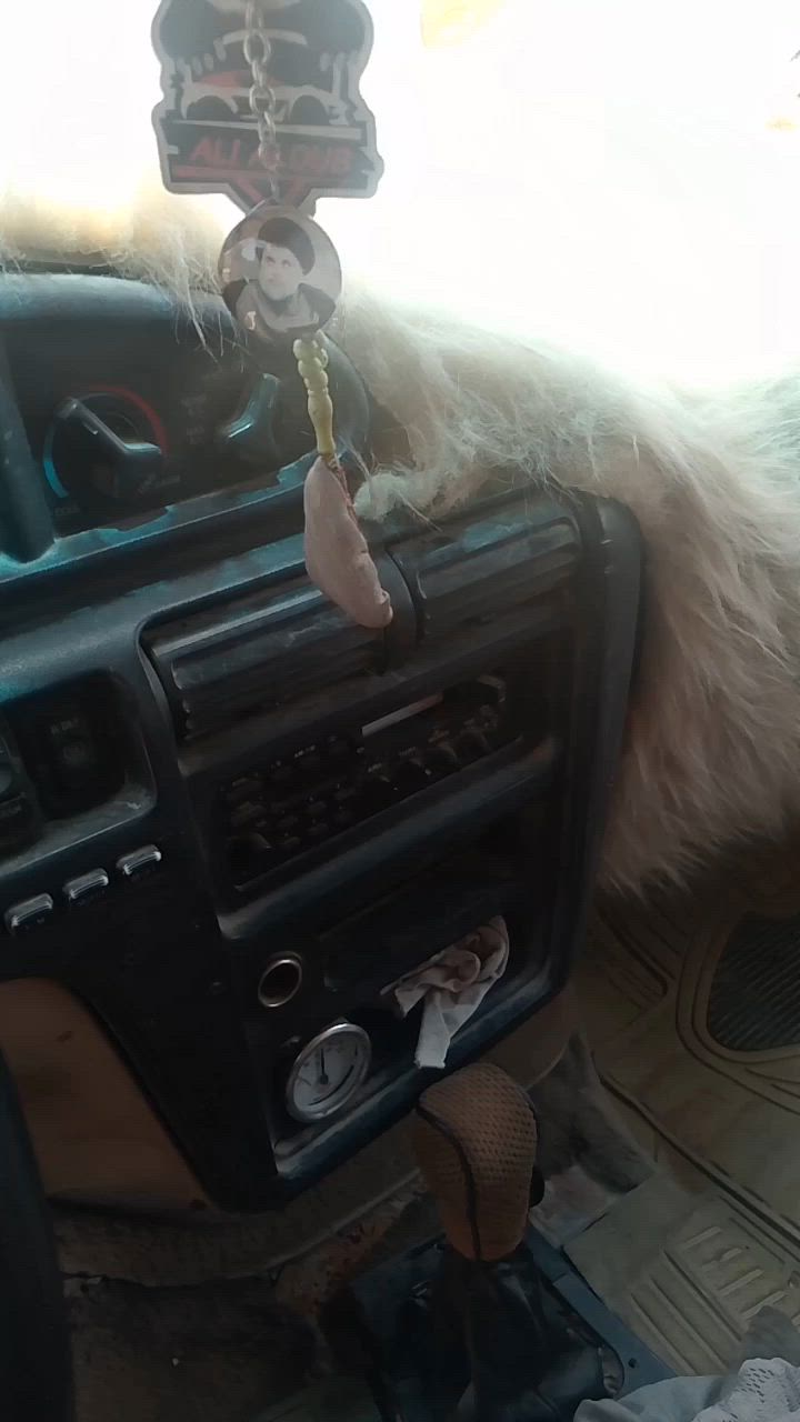 البيع او مراوس هذرقم  لؤي حسب الطلب ***********
