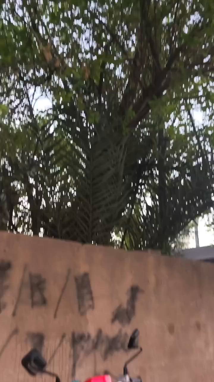 سلام عليكم دراجه بوليسي للبيع مكفوله كفاله عامه وصل معرض مامفتوحه كهربائيات كله شغاله محرك مامفتوح لاقبق تفيلس دراجه محركها ناعم كابريتر مو نوزل حالينا كفراتها احمر داخل كريمي كفراتها  البلادي موجوده بيهن 11ختم ويه المكينه مكان كربلاء السعر 900وبيها مجال ***********
