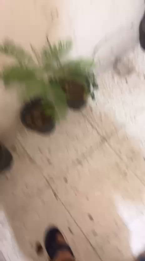 سكنس جبلي حديث الصور تحجي ماكو حاجه احجي سعرها مناسب الدراجه بعدها على الوكاله كلشي على حطه الابلاد كلشي شغال بيها ما بيها اي نقص كفاله عامه كفاله عامه مكاني شهداء العبيدي رقمي:*********** متواجد اكثر شي على الرصيد بغداد
