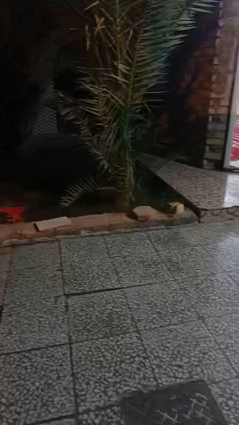 بيت للبيع مسلح٢٠٠متر ركن درجه أولى الموقع حي ابو طالب على شارع الجنه الي يحب يتواصل مكتب ابو سيف الجبوري للوساطة العقارية *********** /***********
