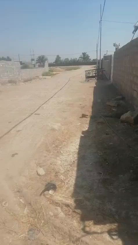 قطعه للبيع  زراعي  بيع مستعجل ومناسب على شارع قرية الفردوس مجاوره مزرعة سيد ياسين الجمراوي 
التفاصيل بلفيديو للاستفسار اكثر اتصل  ***********
