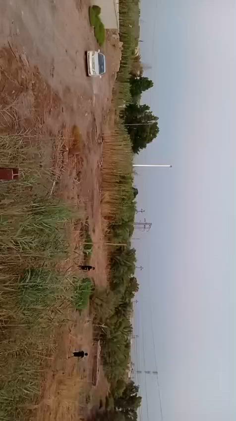 🔴ارض زراعية للبيع
🔴 المساحة : 5 دونم
🔴 الموقع: الديوانية_ نزلة الشيخ سامي موقعها ركن مثل ما موضح بلخريطة
🔴 بستان: النخيل نوعية ممتازة
🔴 بالإضافة الئ حقل وثلاث غرف
🔴 للاتصال: ***********
