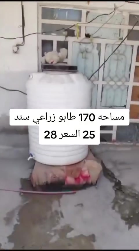 ***********
