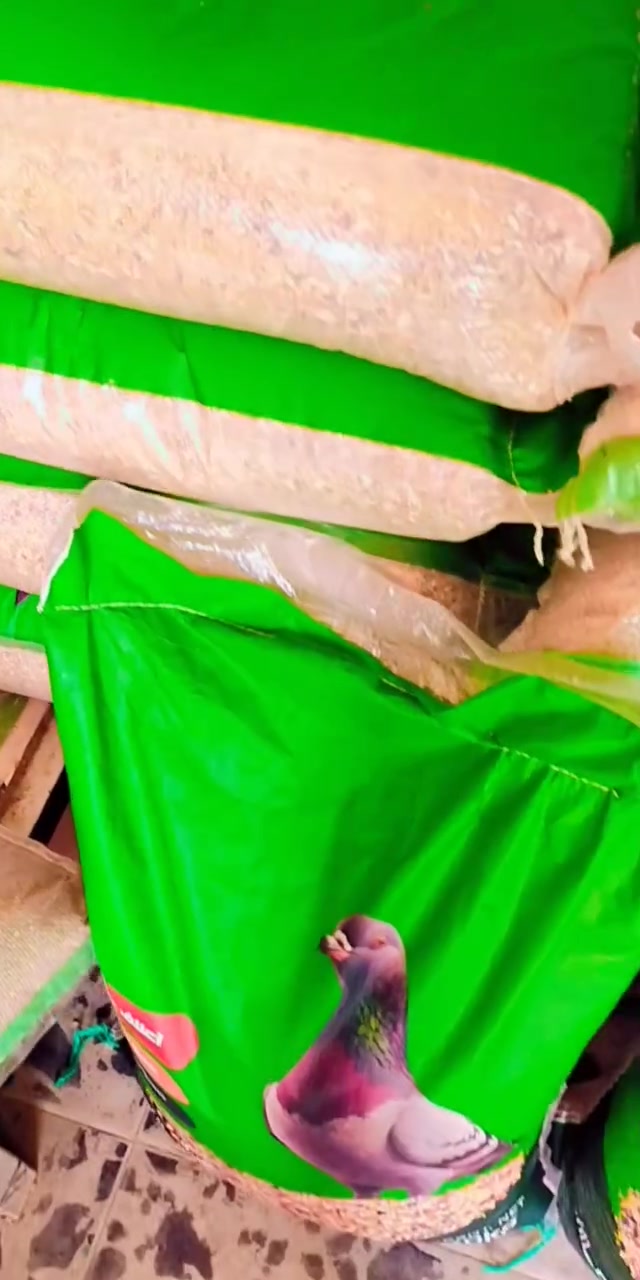 خبطه 20ك ب 15 الف متوفره يمنه الحسناوي لطيور الزينه وباقي الحيوانات الاليفه ديوانيه حي العسكري شارع الوگفه قرب صيدلية البدويه واتساب  *********** @الجميع
