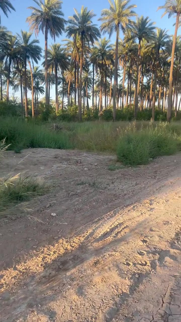 للاستفسار الاتصال على احد الارقام
***********

***********
