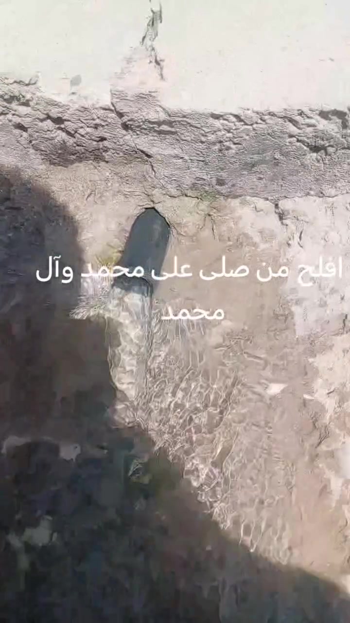 لعشاق الهدوء  جنه علارض واصوليه ومناسبه مزرعه للبيع  المساحه 800 من ظمنه  بيت حديث  السقف صب كونكريت مسلح بي 6دنك وبقربه مدارس ابتدائي ومتوسط صار 7 اشهر من بنيته  متكون من غرفتين وصاله وستقبال ومطبخ وحمام داخلي وحمام خارجي ماء اساله وماء  سقي وبيه فواكه تين  ونخل شكر وزهدي وخستاوي ومزروعه  والثيله ١٠٠ متر  سند ٢٥ تحويل  بلطابو شرط ثاني يوم  المكان بابل القاسم  الجربوعيه تبعد عن طريق الزائرين العلجربوعيه 200متر تفاصيل اكثر اتصل *********** السعر  علخاص لو تتصل علما اني  صاحب العقار..
